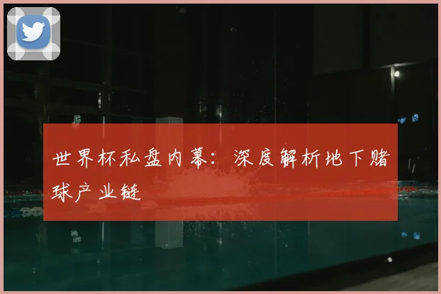 世界杯私盘内幕：深度解析地下赌球产业链