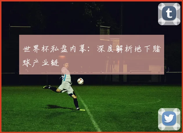 世界杯私盘内幕：深度解析地下赌球产业链